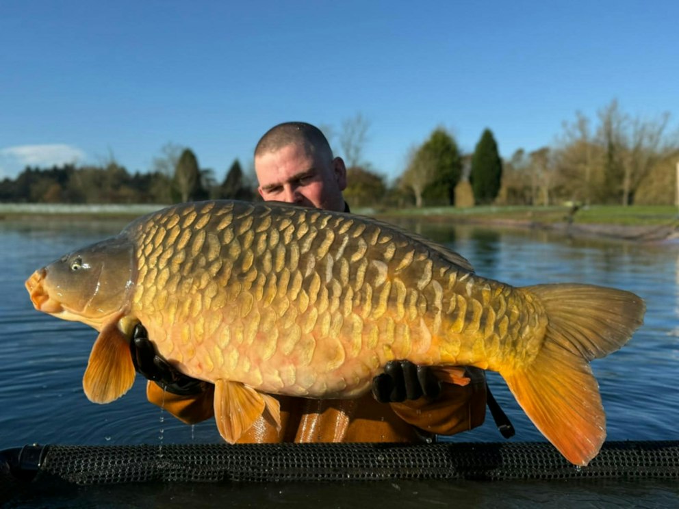 Fishery creates advanced fish tank to produce 60lb carp | Angling Times