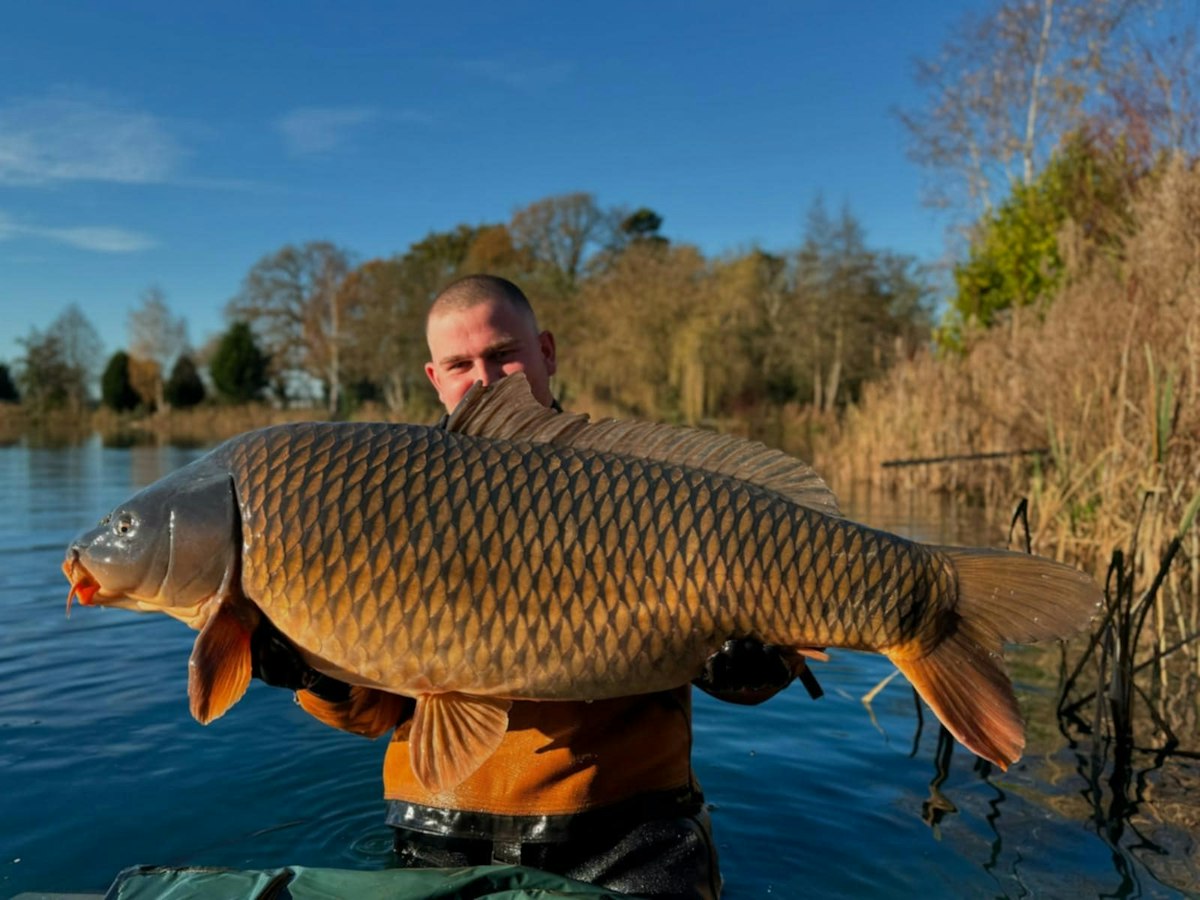 Fishery creates advanced fish tank to produce 60lb carp | Angling Times
