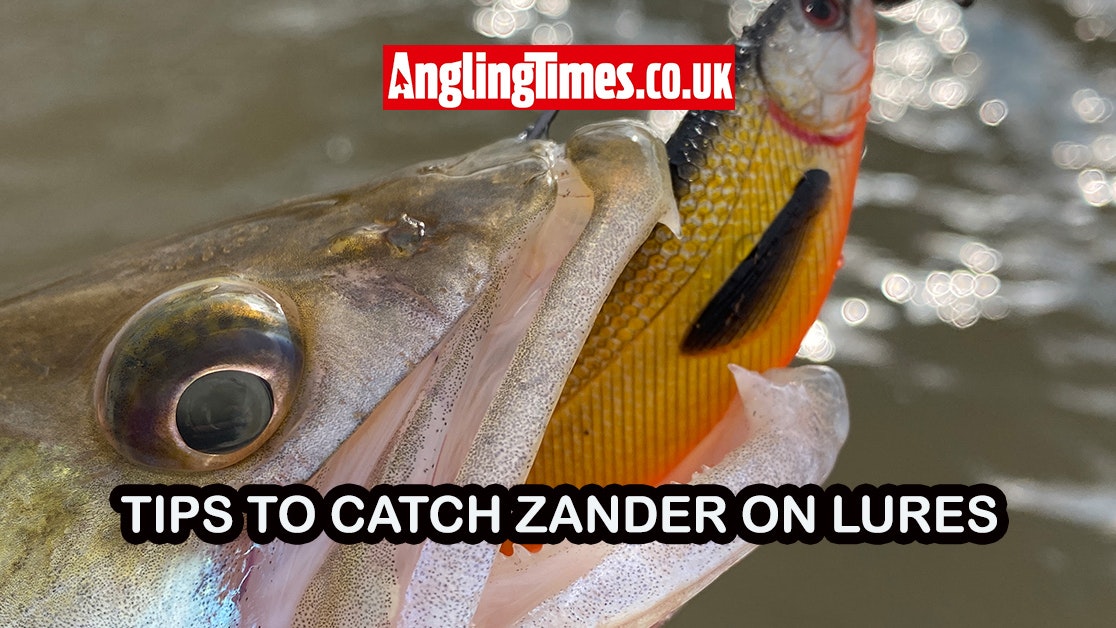 Expert Tips for Successful Zander Lure Fishing in the UK