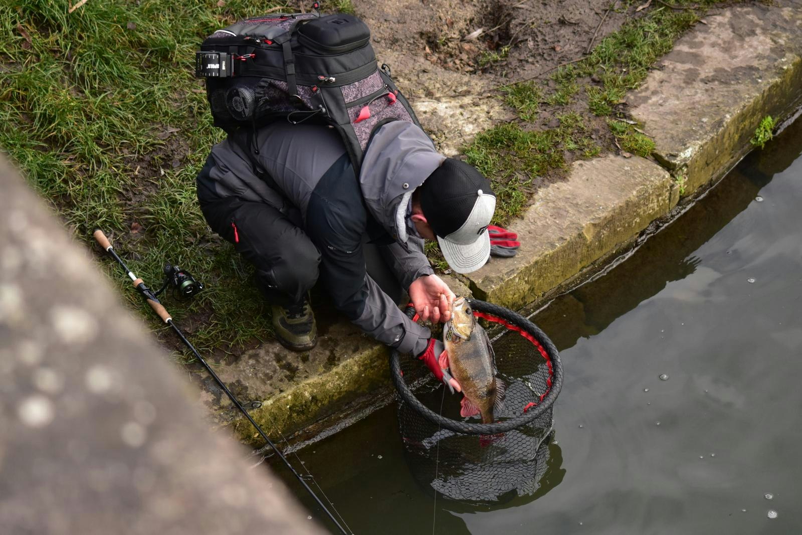 Netting a perch