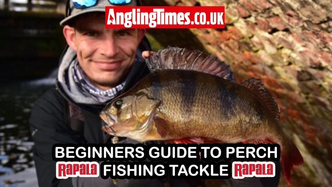 Essential Lure Fishing Techniques for Beginners Targeting Perch
