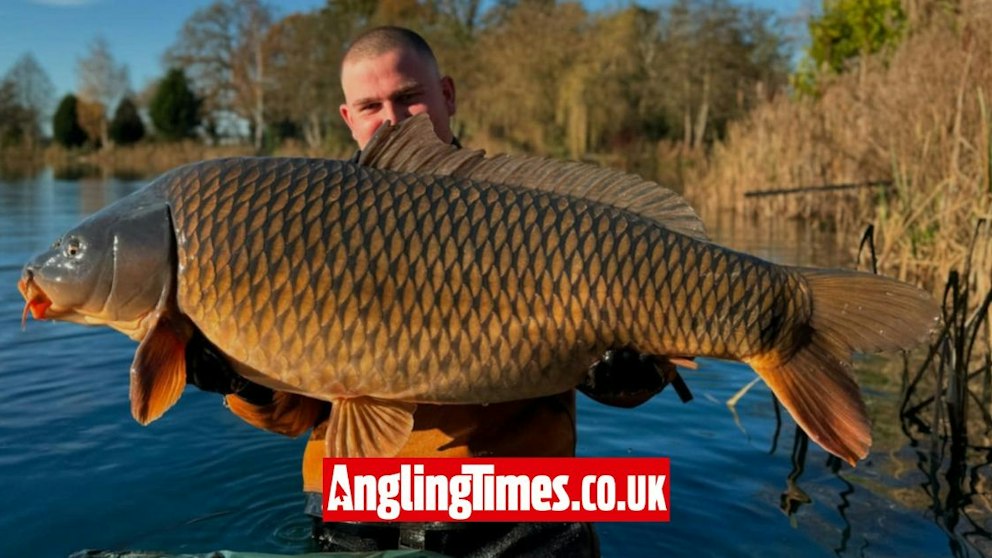 British Record Monumental carp near British Record stocked into popular fishery ...