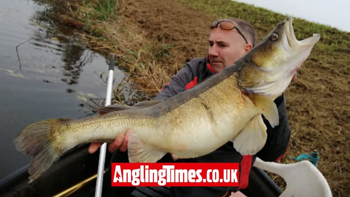 Giant zander brace is angler’s first of the species | Angling Times