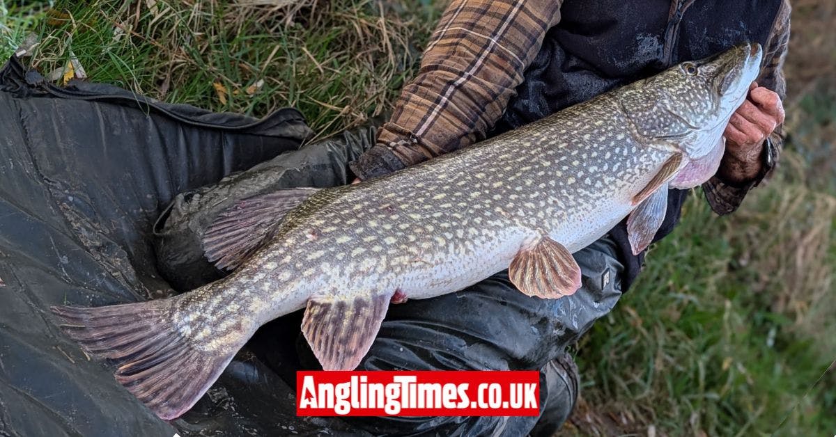 Untitled-design-19-copy-2.jpg?ar=16%3A9&