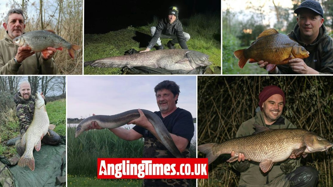 British Record It has been a record year for British Record fish | Angling Times