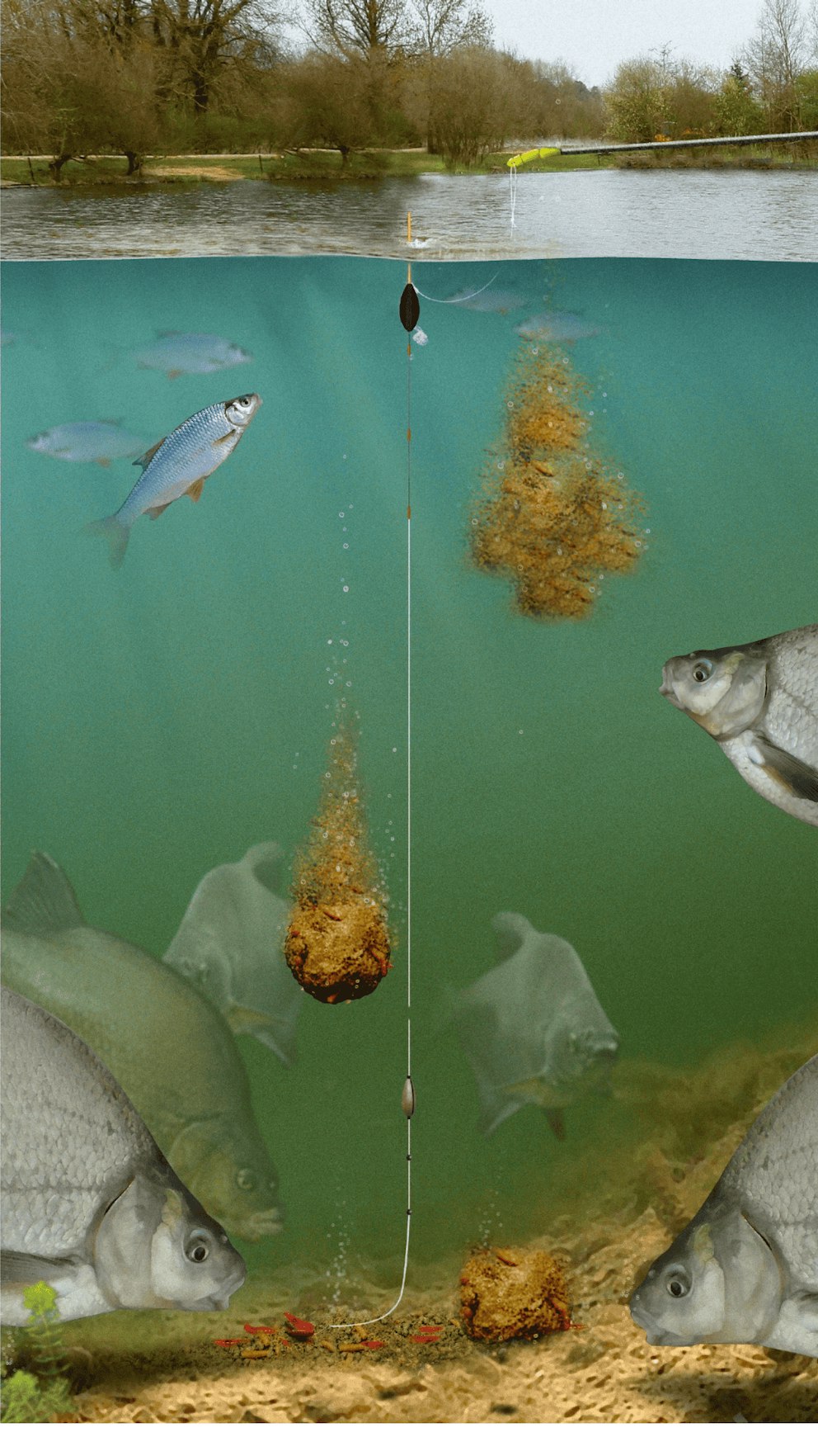 Shallow Field Rigs 5 Must-Have Silverfish Pole Rigs