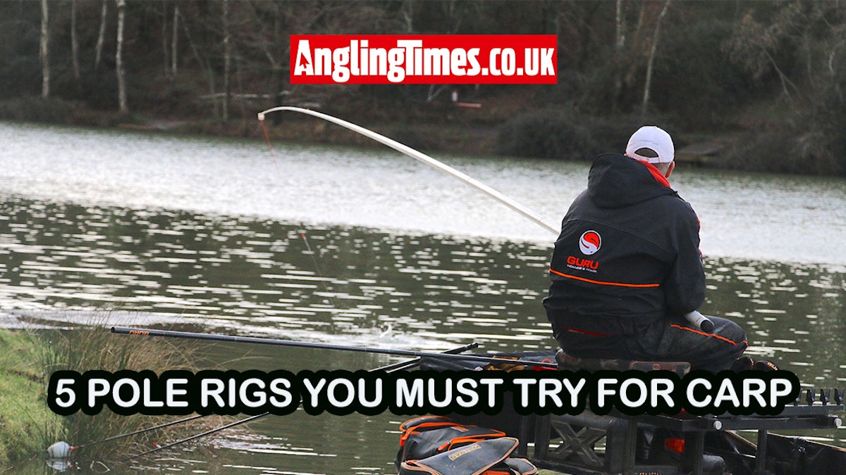 five pole rigs to try to catch more carp