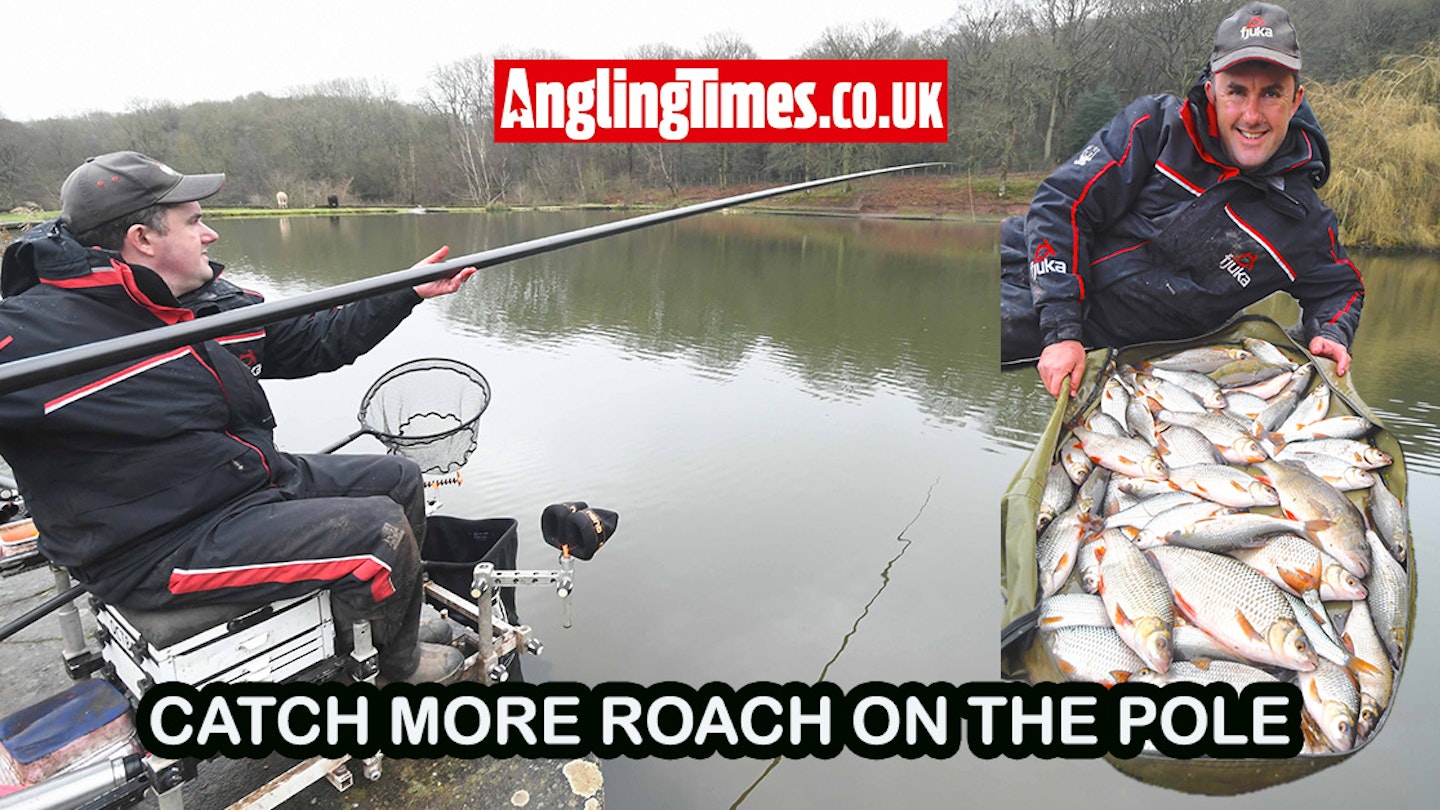 Catch more roach on the pole | Angling Times Catch more roach on the pole | Angling Times