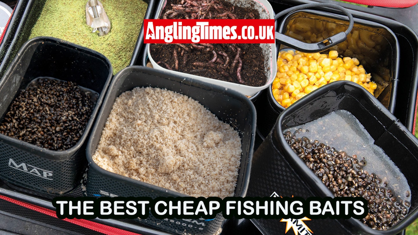 The best cheap and free fishing baits | Angling Times