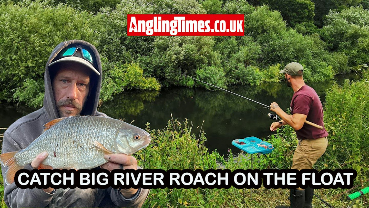 Roach Float Rigs How to catch big river roach on the float | Angling Times