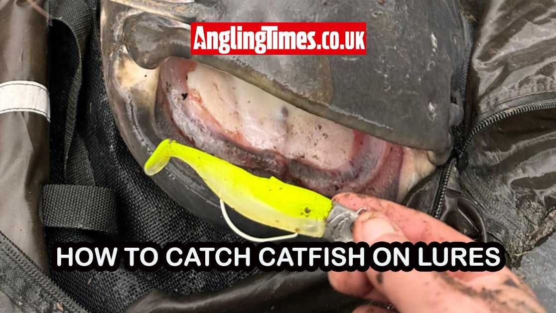 Mastering Lure Fishing for Catfish: Expert Insights and Techniques