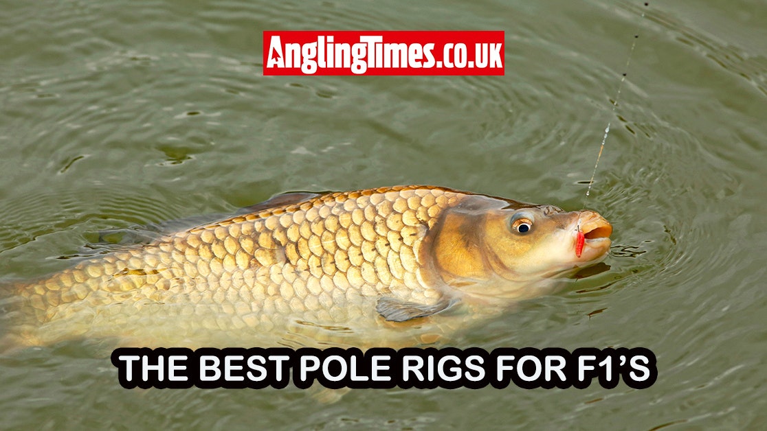 best pole rigs for pellet fishing Drennan Carp Willy Worms How to attach Hard Pellets