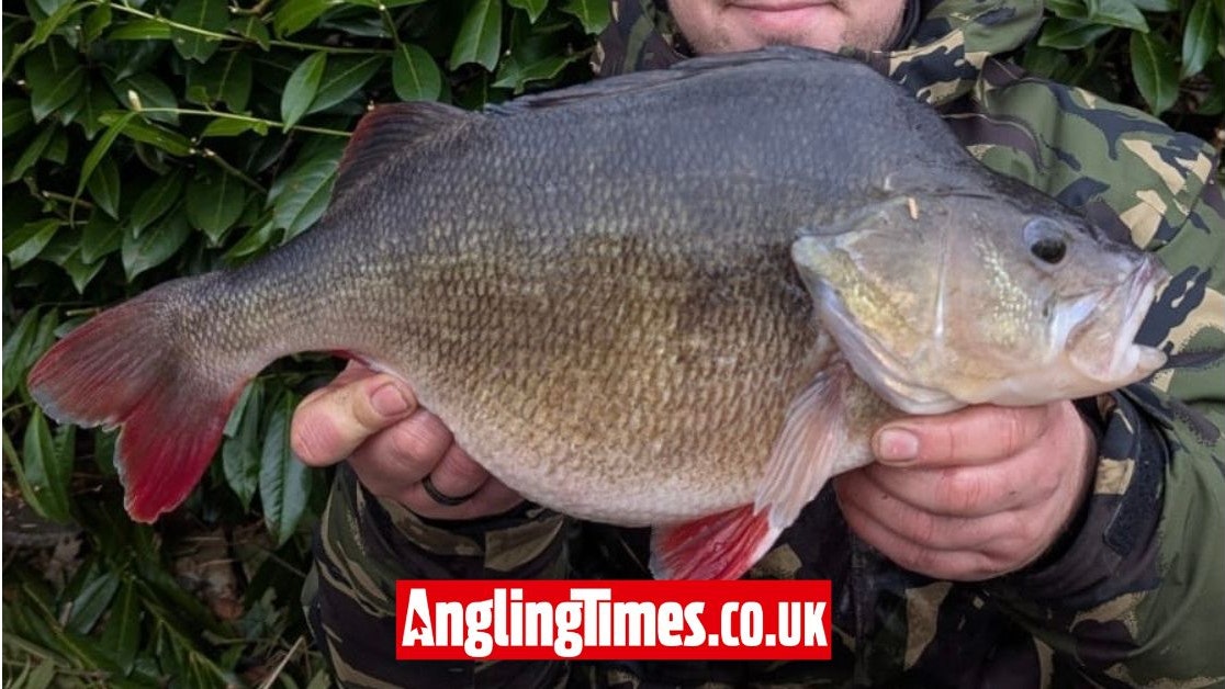 Big perch quest completed with fantastic stripey | Angling Times