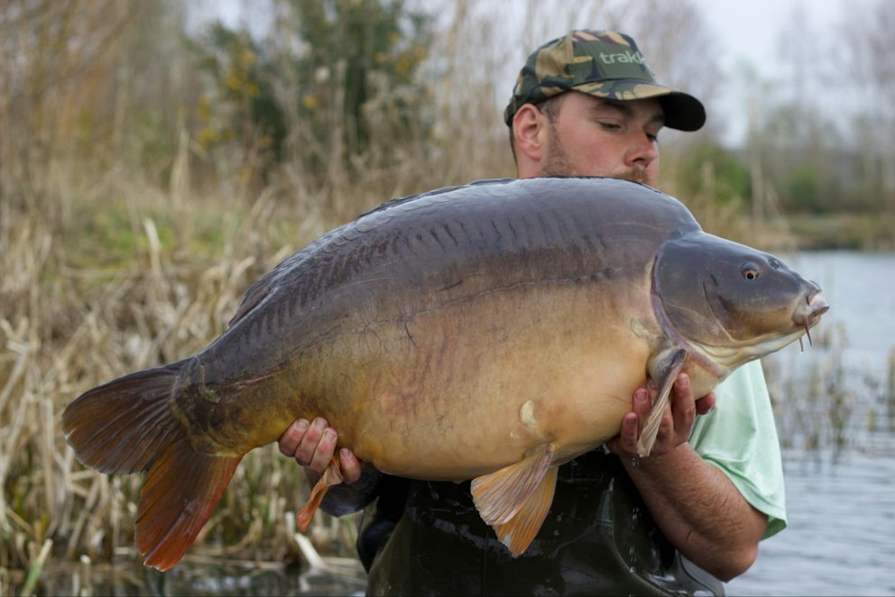 Sensational carp session topped by two UK 60lb fish | Angling Times
