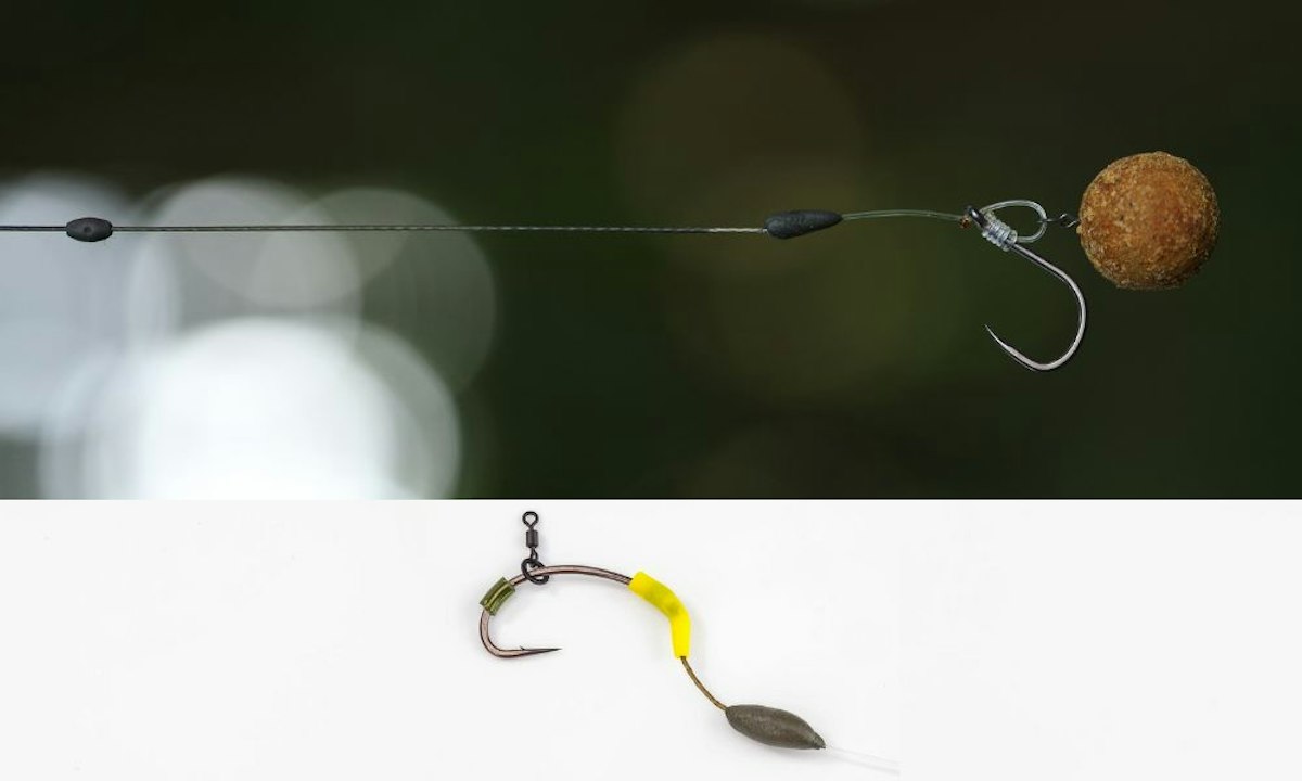 The best rigs for carp fishing