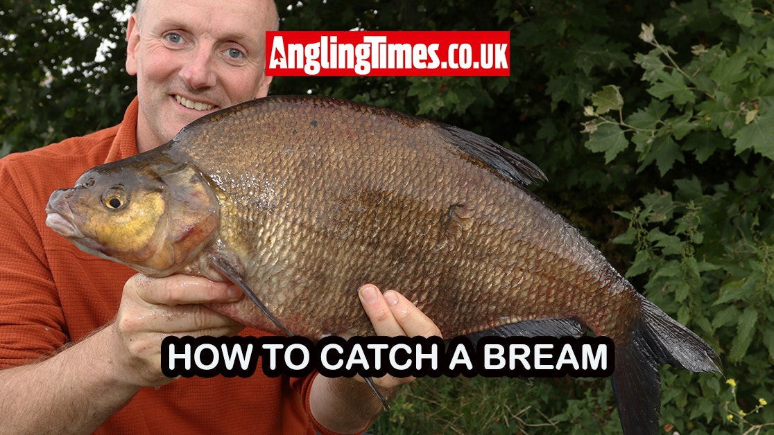 A Beginner's Guide to Catching Your First Bream