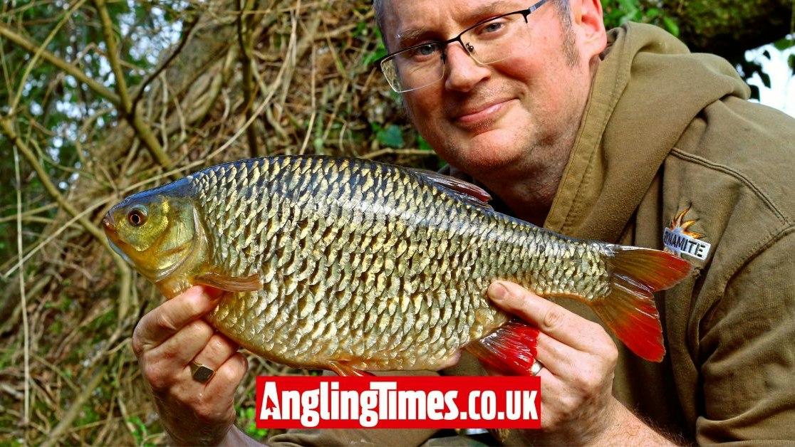 Common Rudd World Record Unusual bait choice results in massive rudd capture | Angling Times