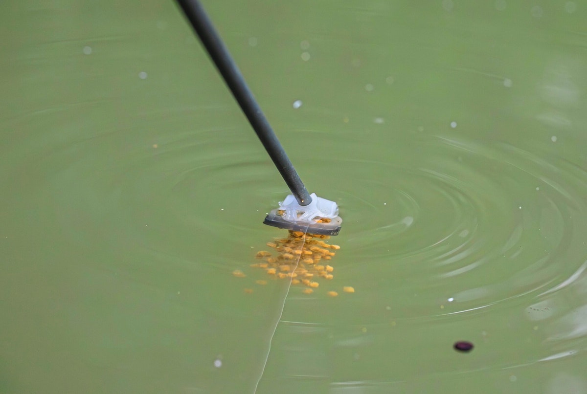 Match fishing tips to help you win more: Tactics that make a difference