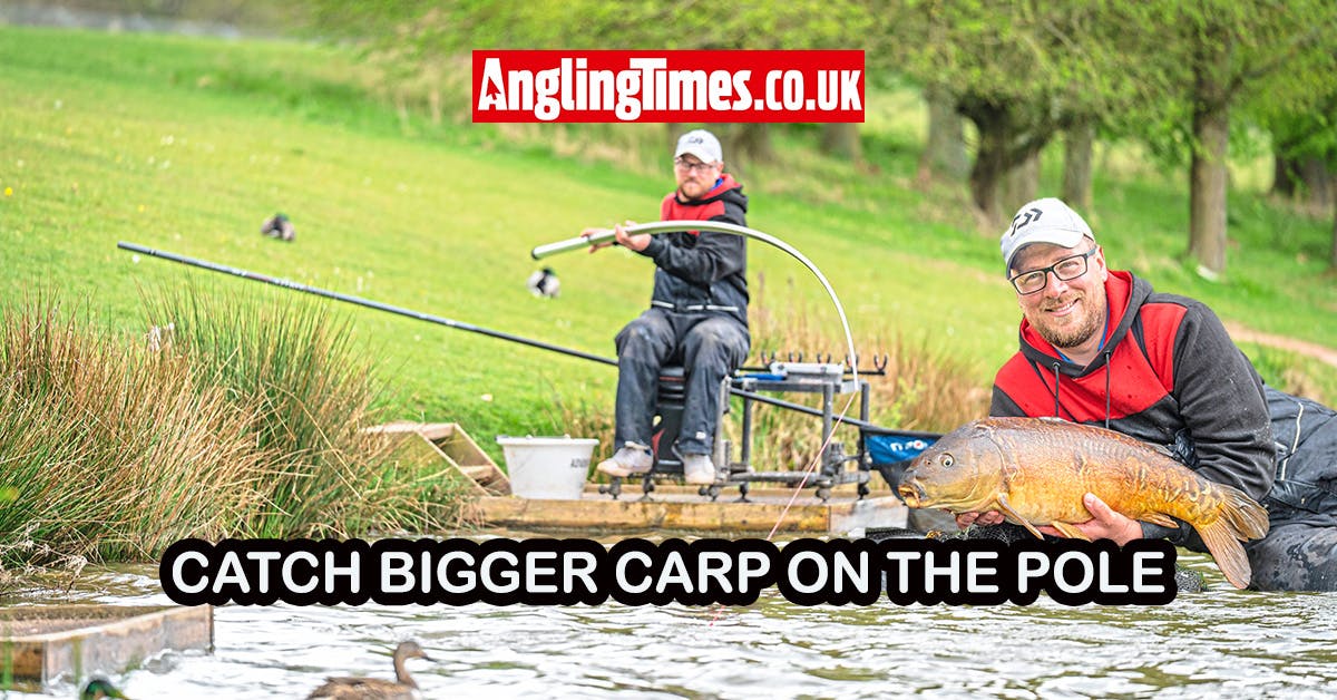 Carp Pinging Carp Pole Fishing How To Catch Big Carp On The Pole Adam  Richards Angling