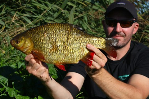 How to catch specimen rudd | Tips and tactics
