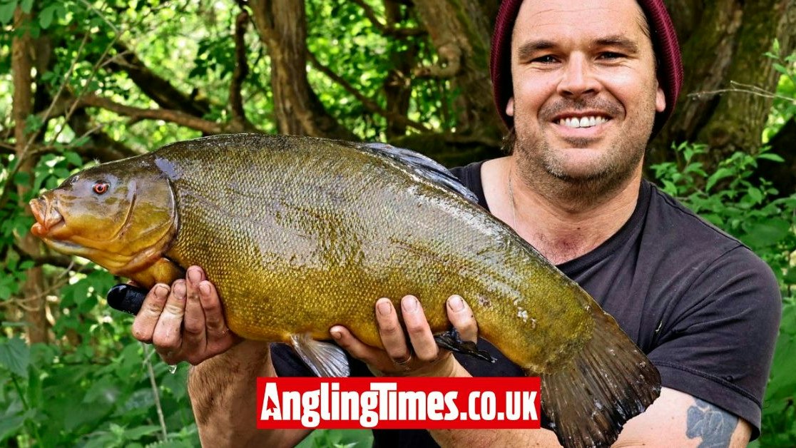 Big Tench Rigs It has been a brilliant week for big tench | Angling Times