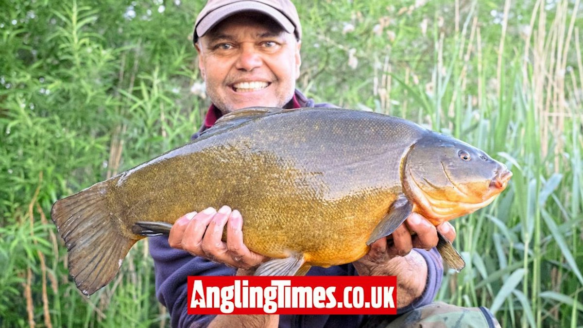 Tench Float Rigs Huge float-caught tench is a new record | Angling Times