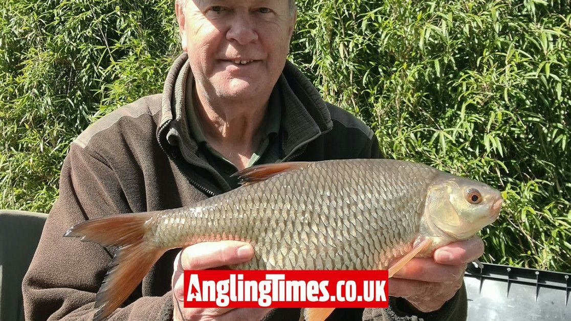 Roach Fish Roe Roach legend experiences some of the most incredible roach fishing ever ...