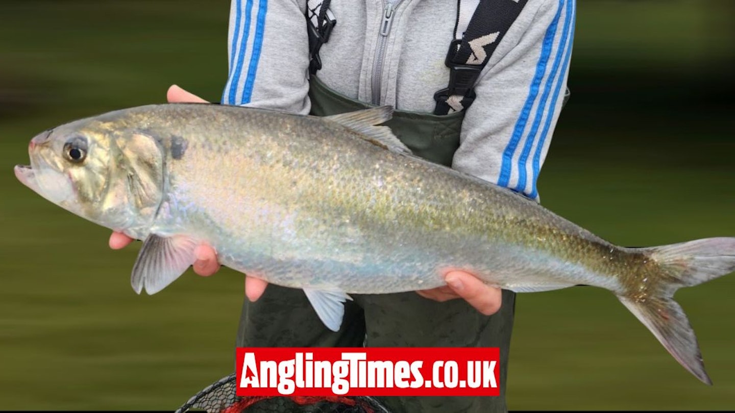 Shock capture of one of the UK’s rarest fish species | Angling Times