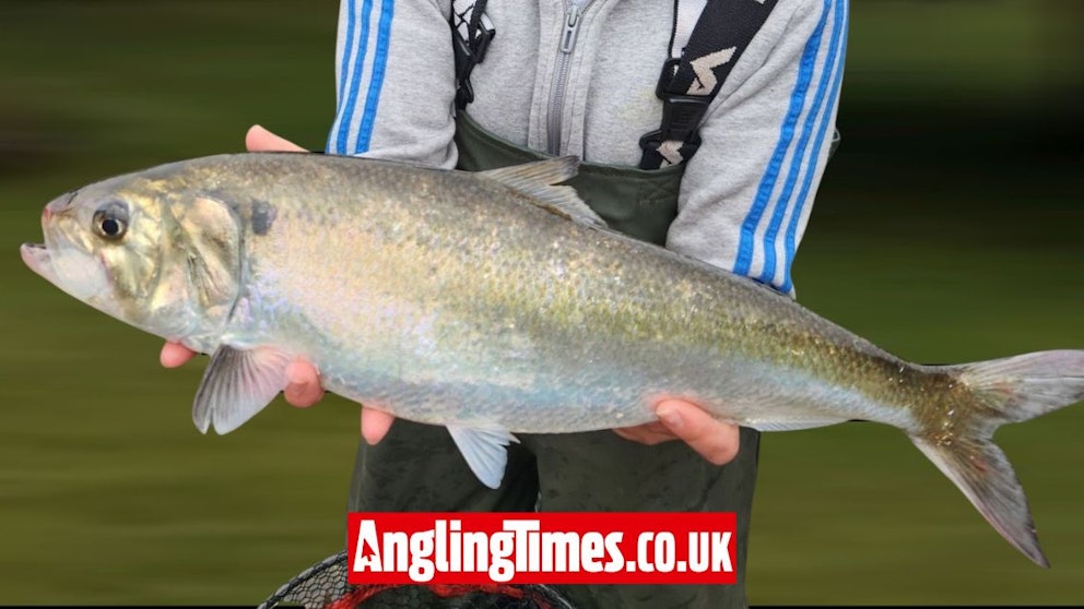 Shock capture of one of the UK’s rarest fish species | Angling Times