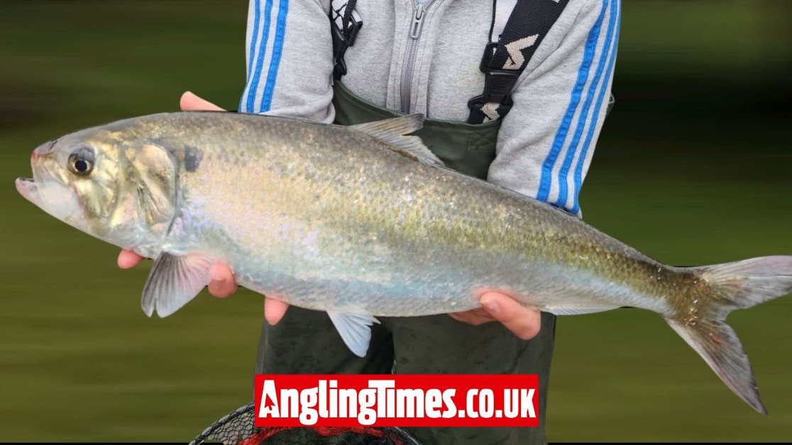 Shock capture of one of the UK’s rarest fish species | Angling Times