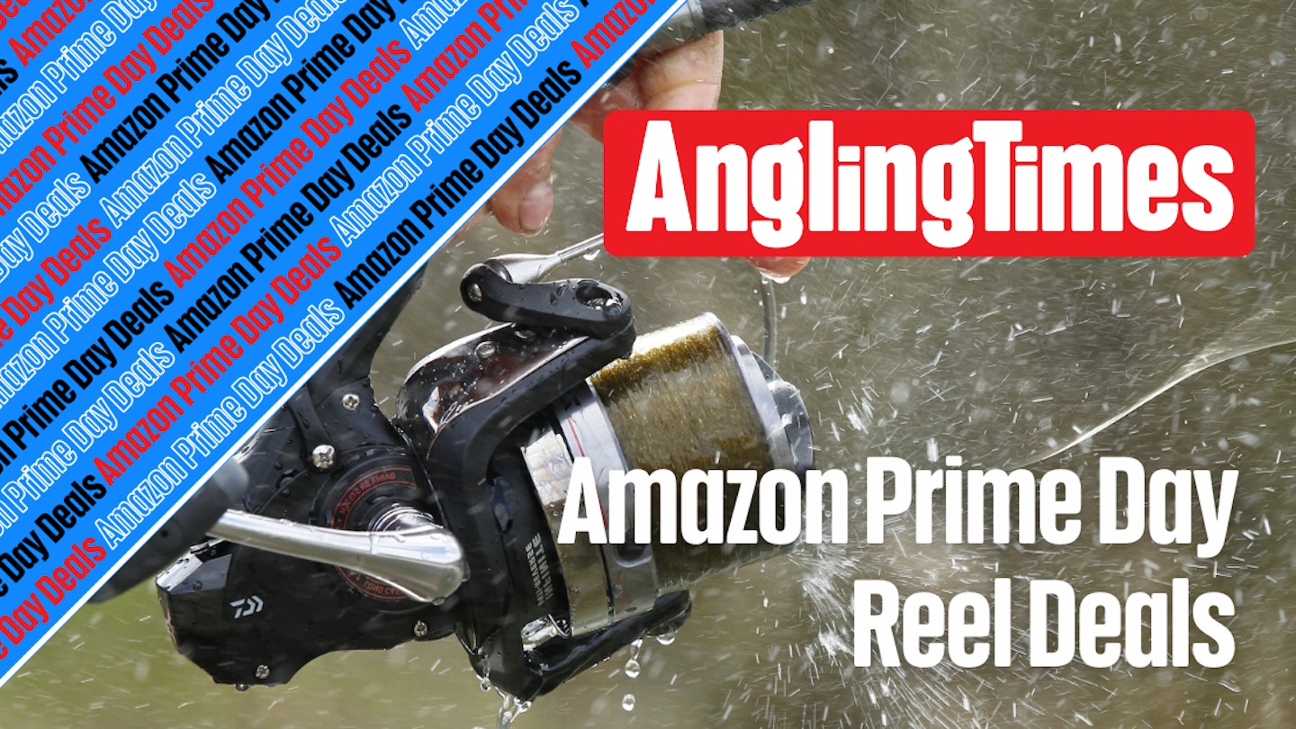 amazon uk fishing reels QualyQualy Alumminum Mini Spinning Reel Fishing Reels Fishing Gear Sports & Outdoors Fishing Reels & Accessories