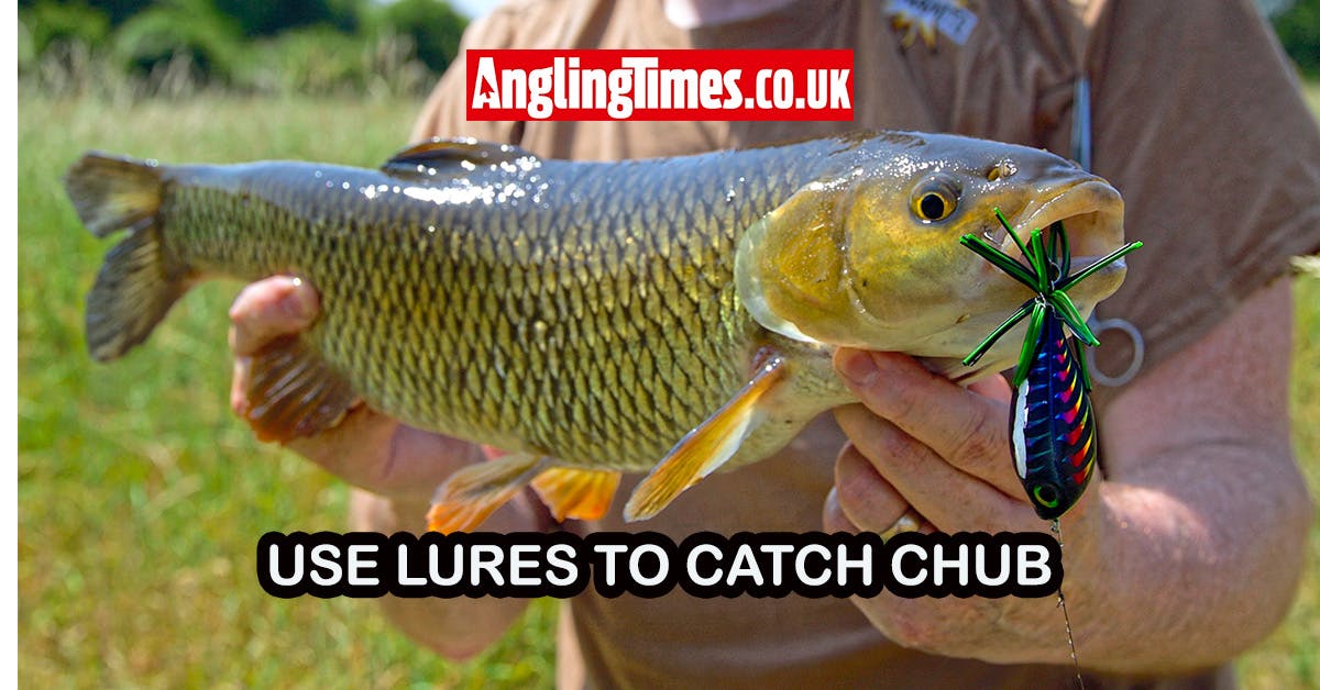chub fishing with lures Catch chub with surface lures | Kev Sanders