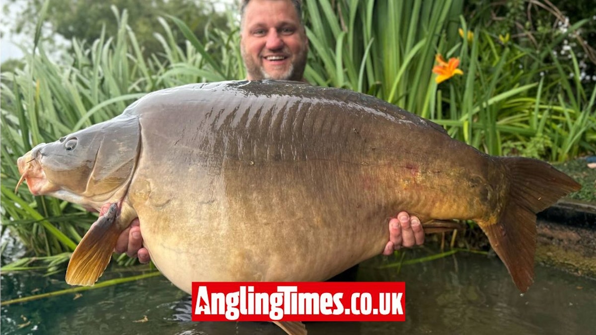 Angler banks one of the UK’s biggest carp | Angling Times