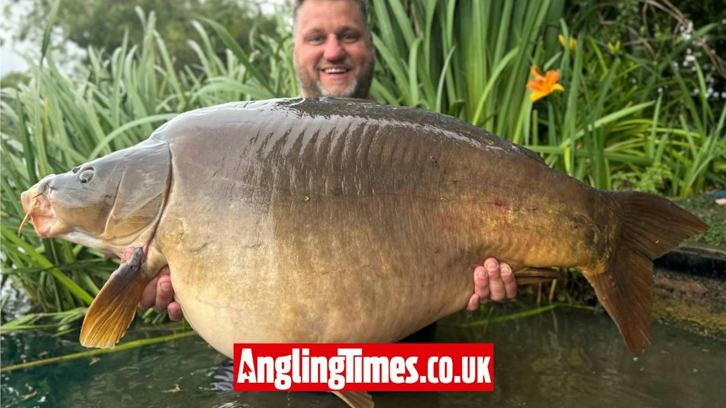 Carp Memory Biggest British Carp – British Carp Record Real – ESENYO