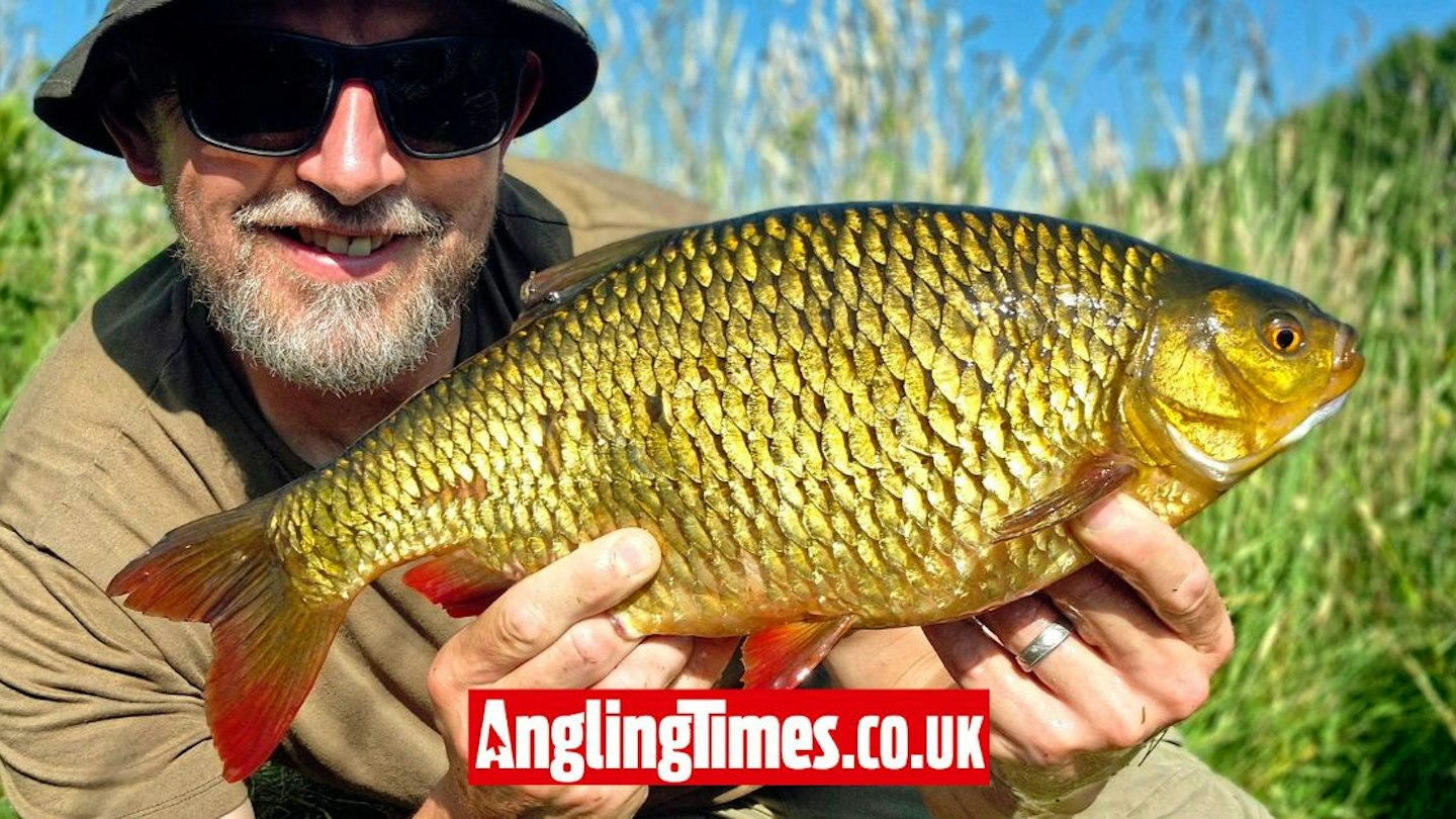 Common Rudd World Record 180-mile drive pays off with monster rudd | Angling Times