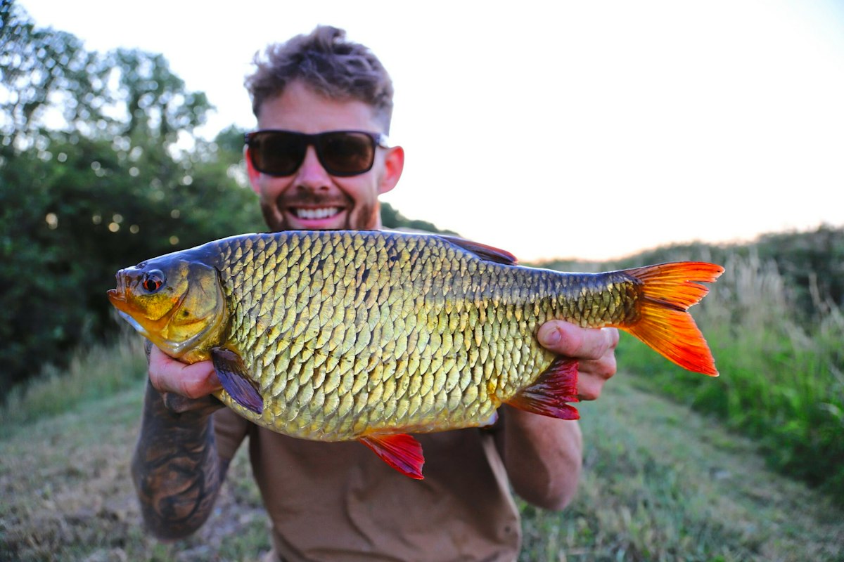 Perfect rudd rewards hours of searching | Angling Times