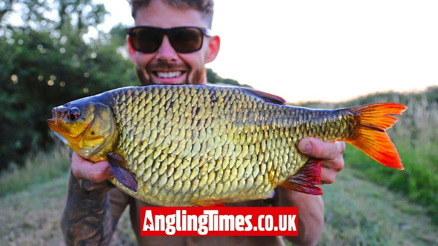Good Photo Example For Ruddied Perfect rudd rewards hours of searching | Angling Times
