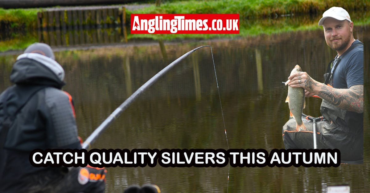 Catch quality silverfish this autumn on commercials | Mikey Williams