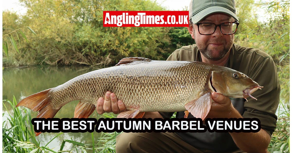 Fishing near me | Best autumn barbel fishing venues