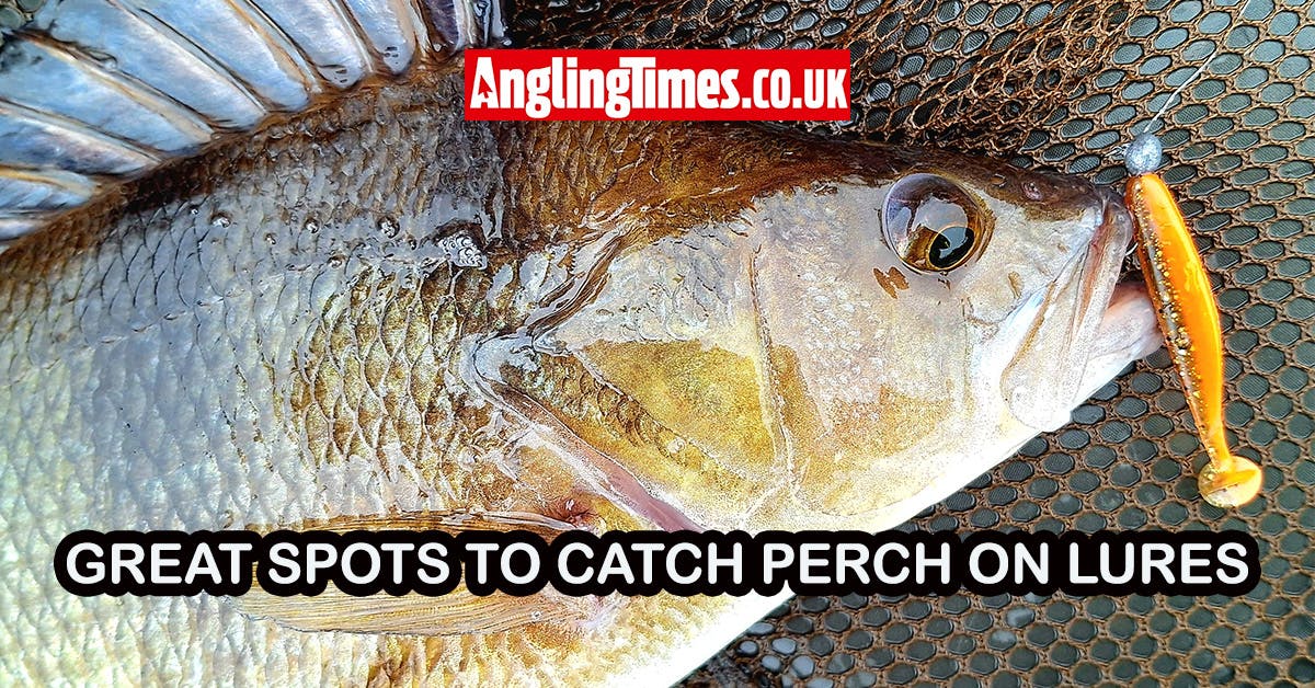 Fishing near me | Venues to catch perch on light lures