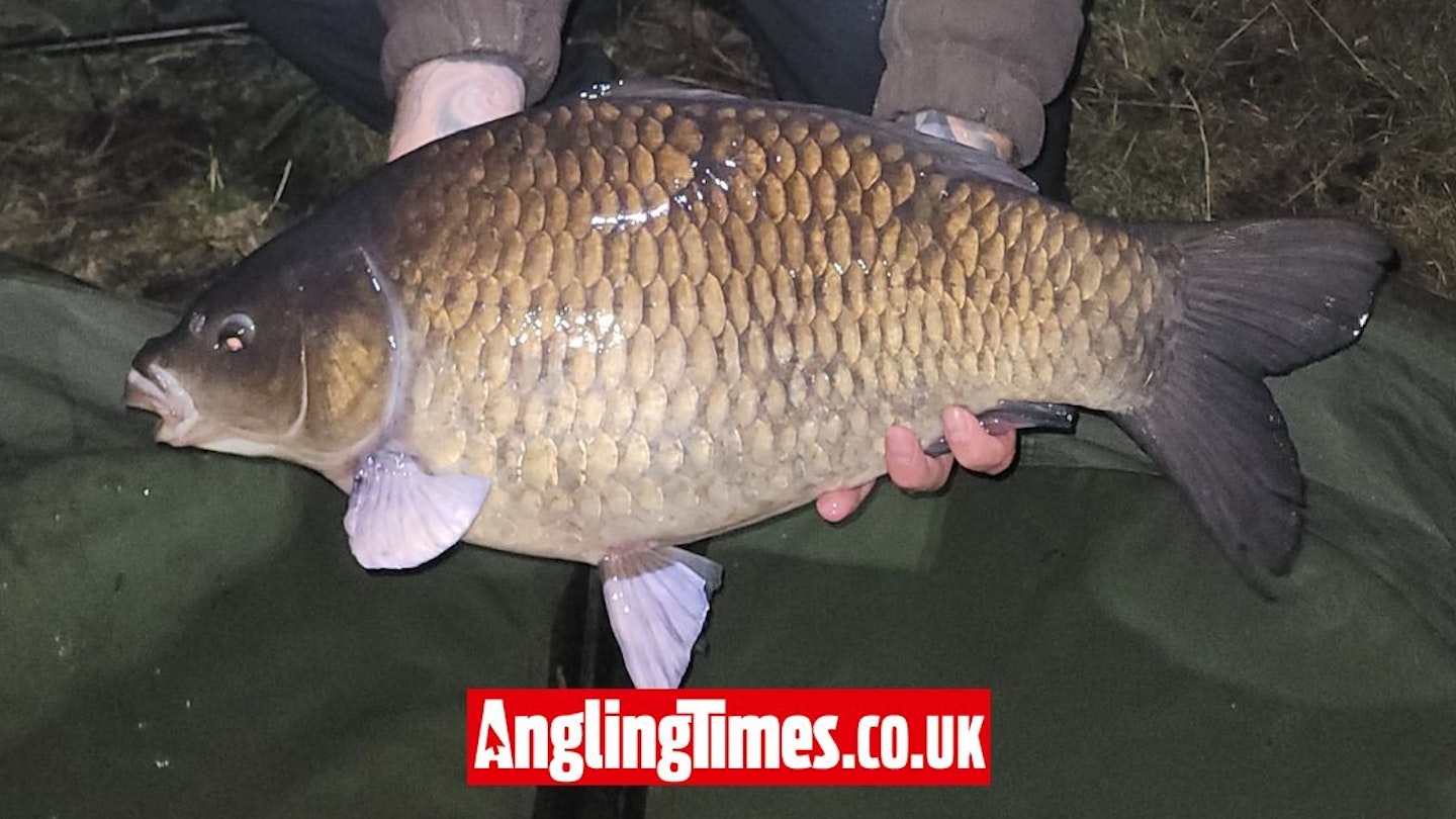 Giant F1 Carp Is One Of The Biggest Ever Landed Angling Times giant-f1-carp-is-one-of-the-biggest-ever-landed-angling-times
