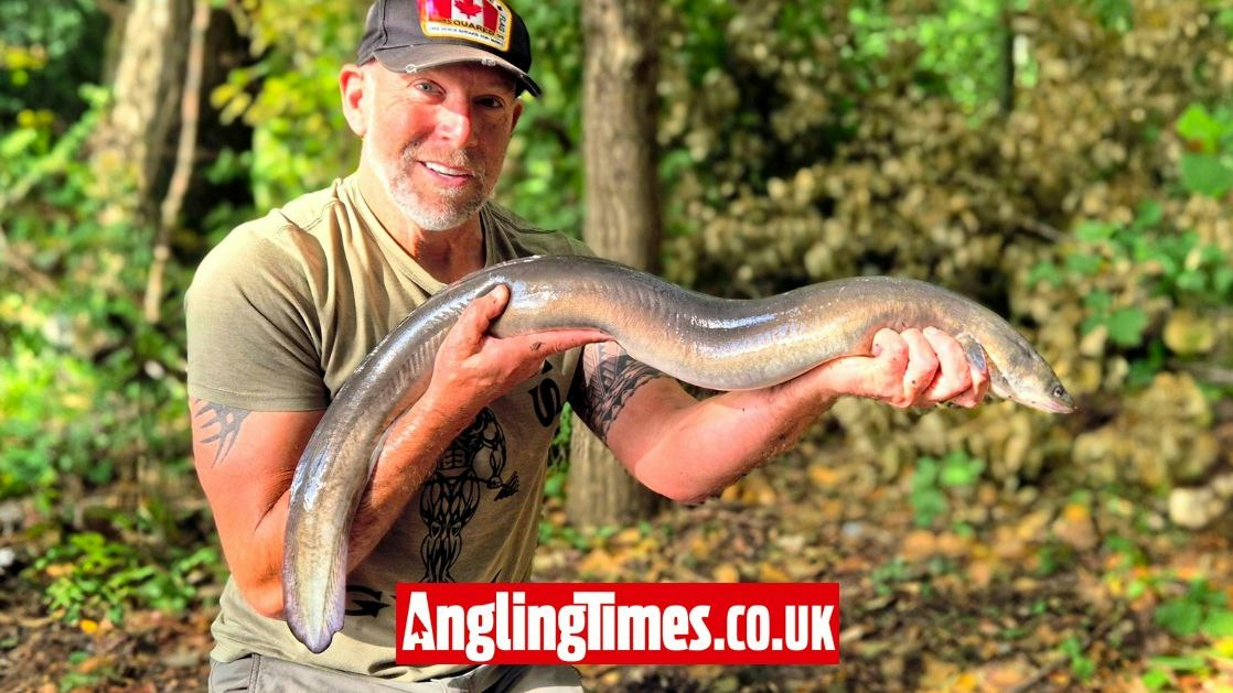 Eel Morgan Rigs Rig tweak helps fool enormous eel | Angling Times