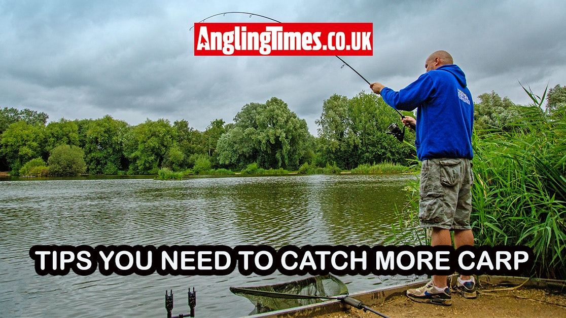 Essential Tips for Carp Fishing Success: A Beginner's Guide