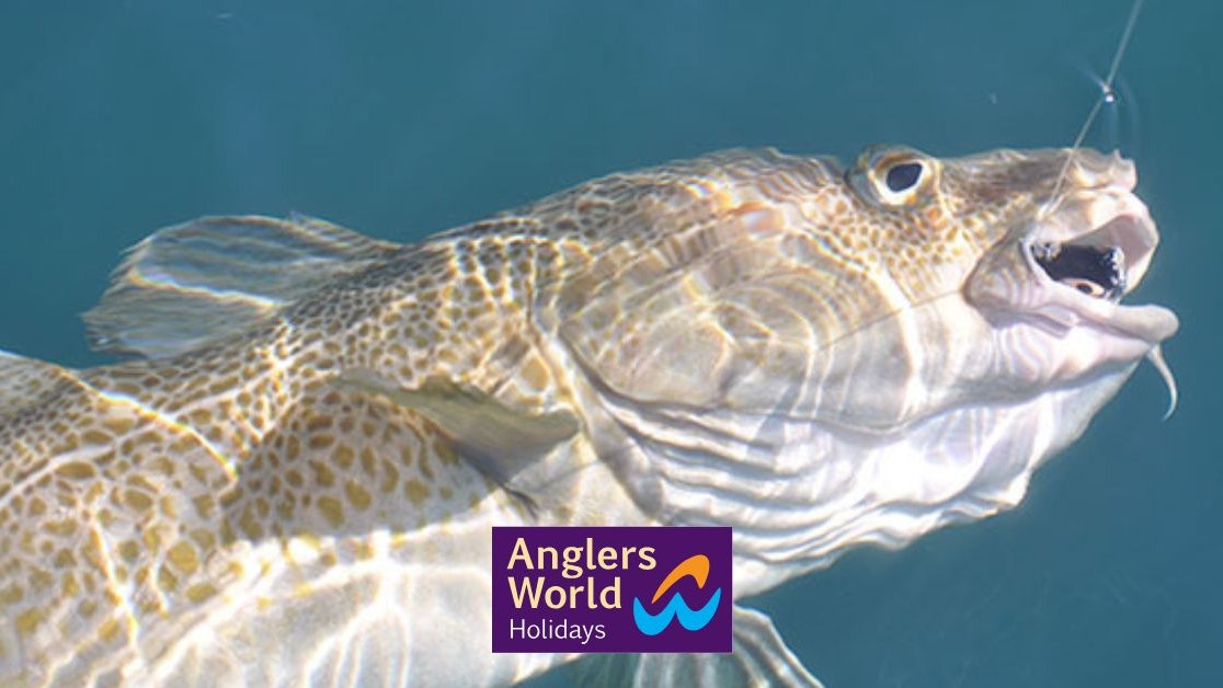 Fishing near me | Anglers World Holidays
