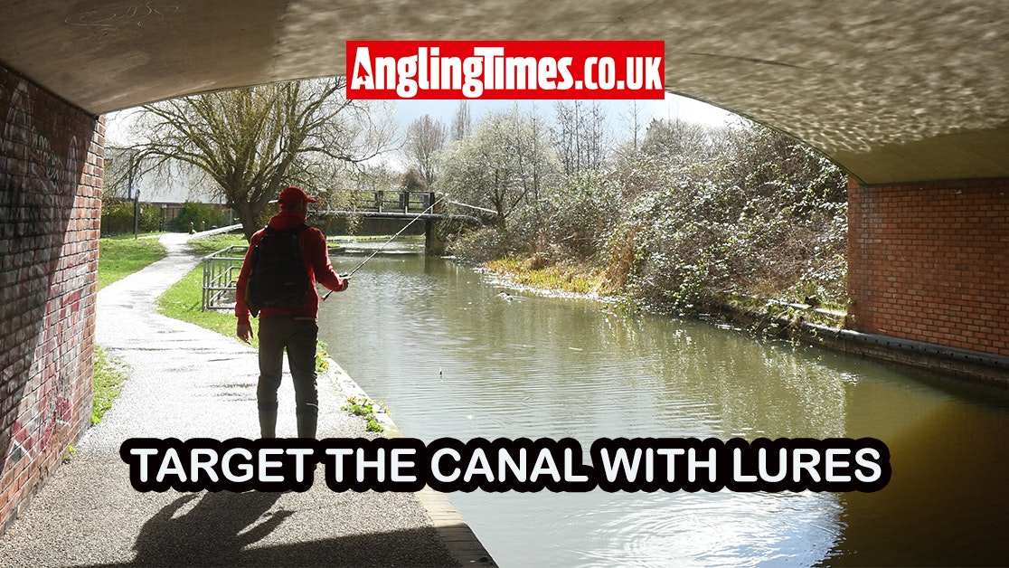 Master Canal Lure Fishing: Top Tips for Pike and Perch