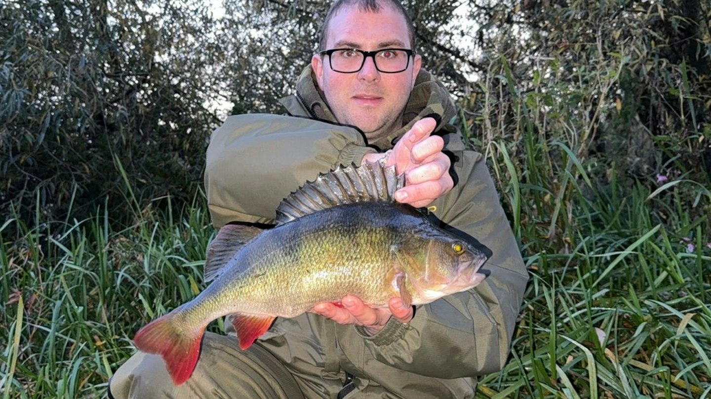Perch Rotten Personal best smashed with cracking river perch | Angling Times
