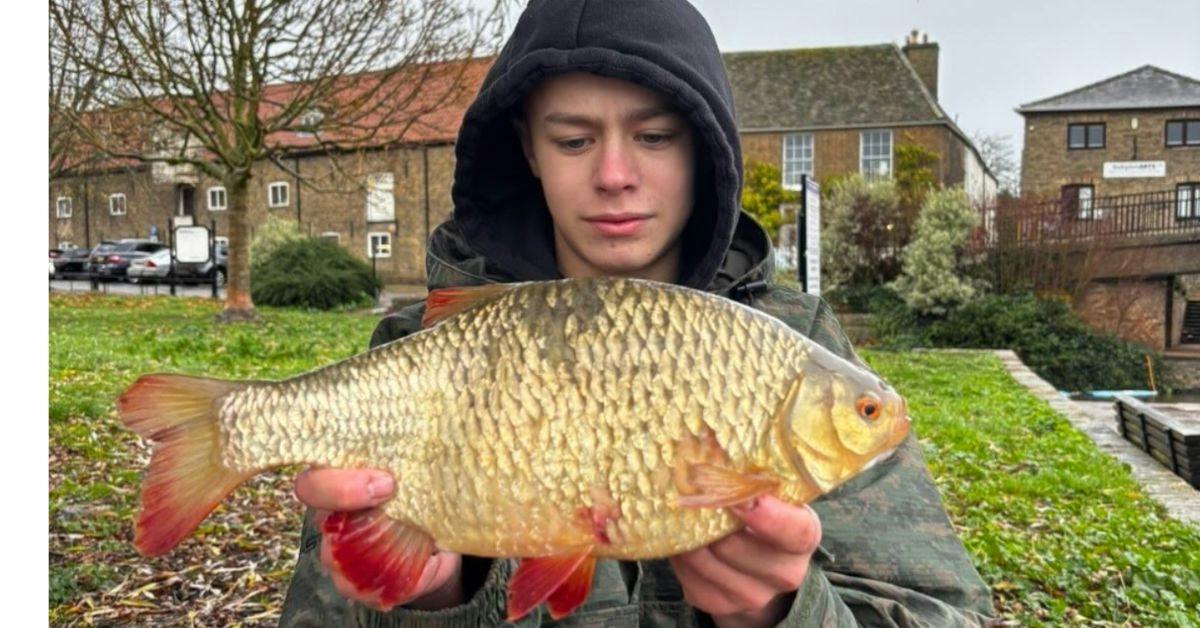 Haul of huge rudd taken on very unusual tactics | Angling Times