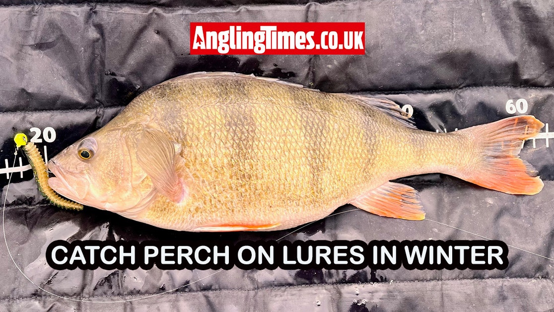 7 Effective Tips for Winter Perch Lure Fishing