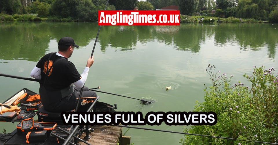 Fishing near me | Best commercials for silvers