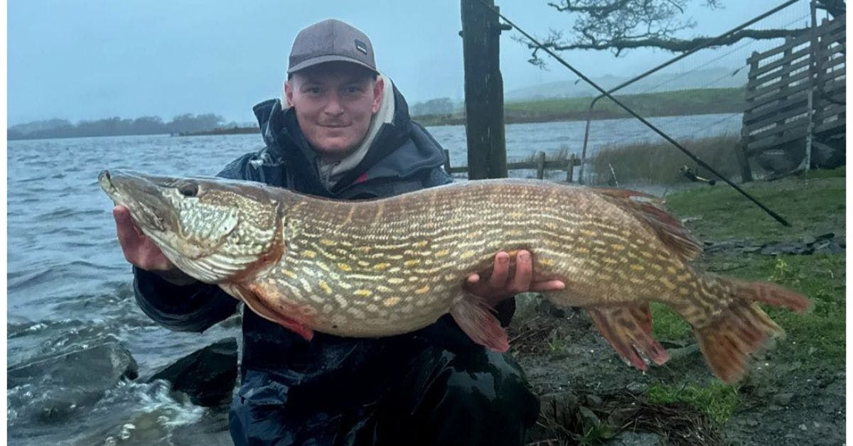 Untitled-design-10-copy-1.jpg?ar=16%3A9&